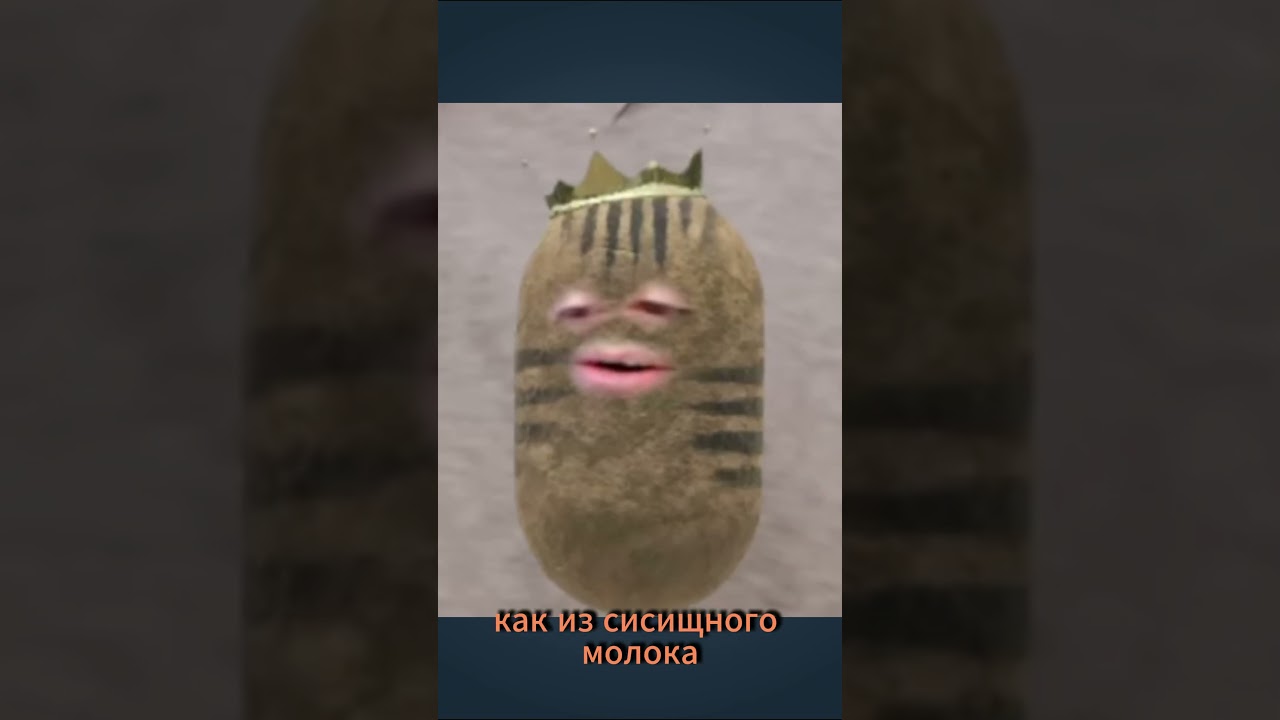 Молочкооо )) #sleduck #vtuber #twitch #юмор #sledovatel #прикол  #мемы #memes #стрим