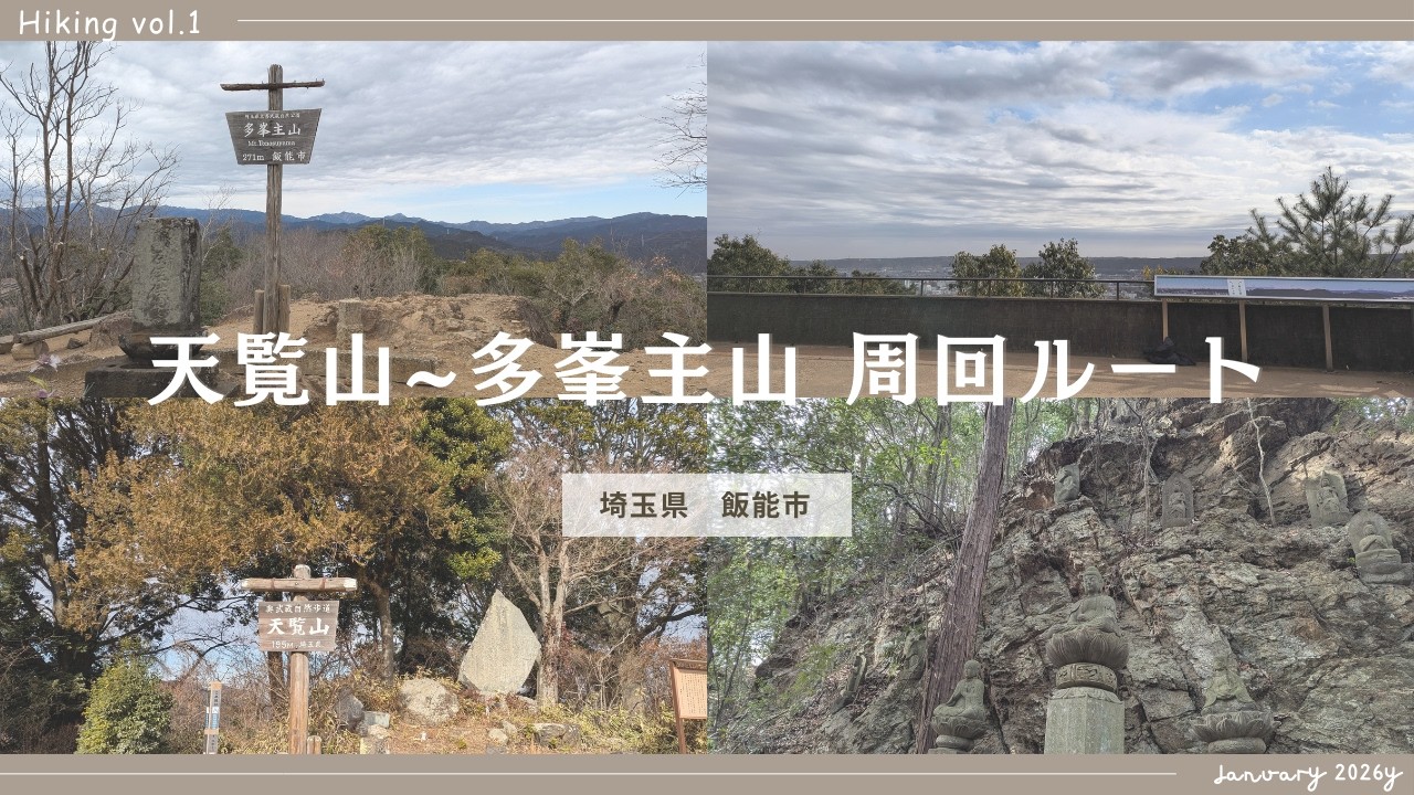 【低山登山】天覧山～多峯主山 周回ルート【飯能市】