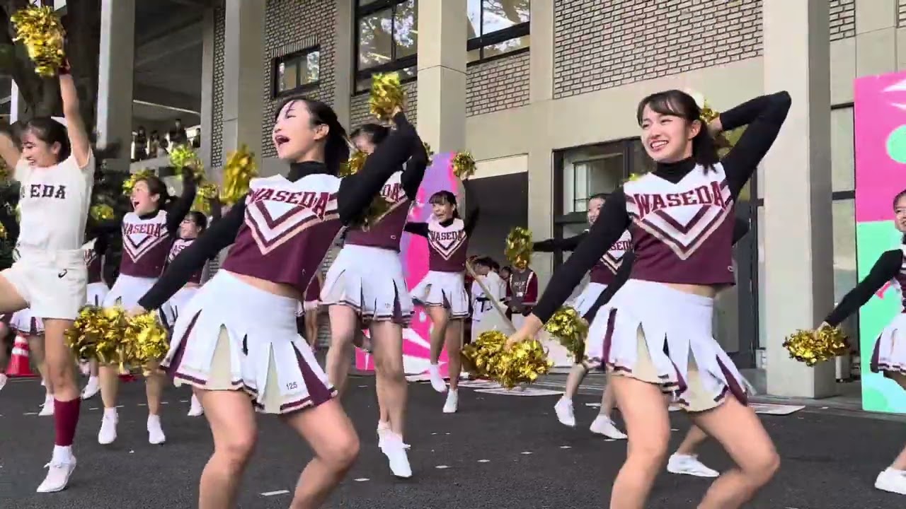 早稲田チア