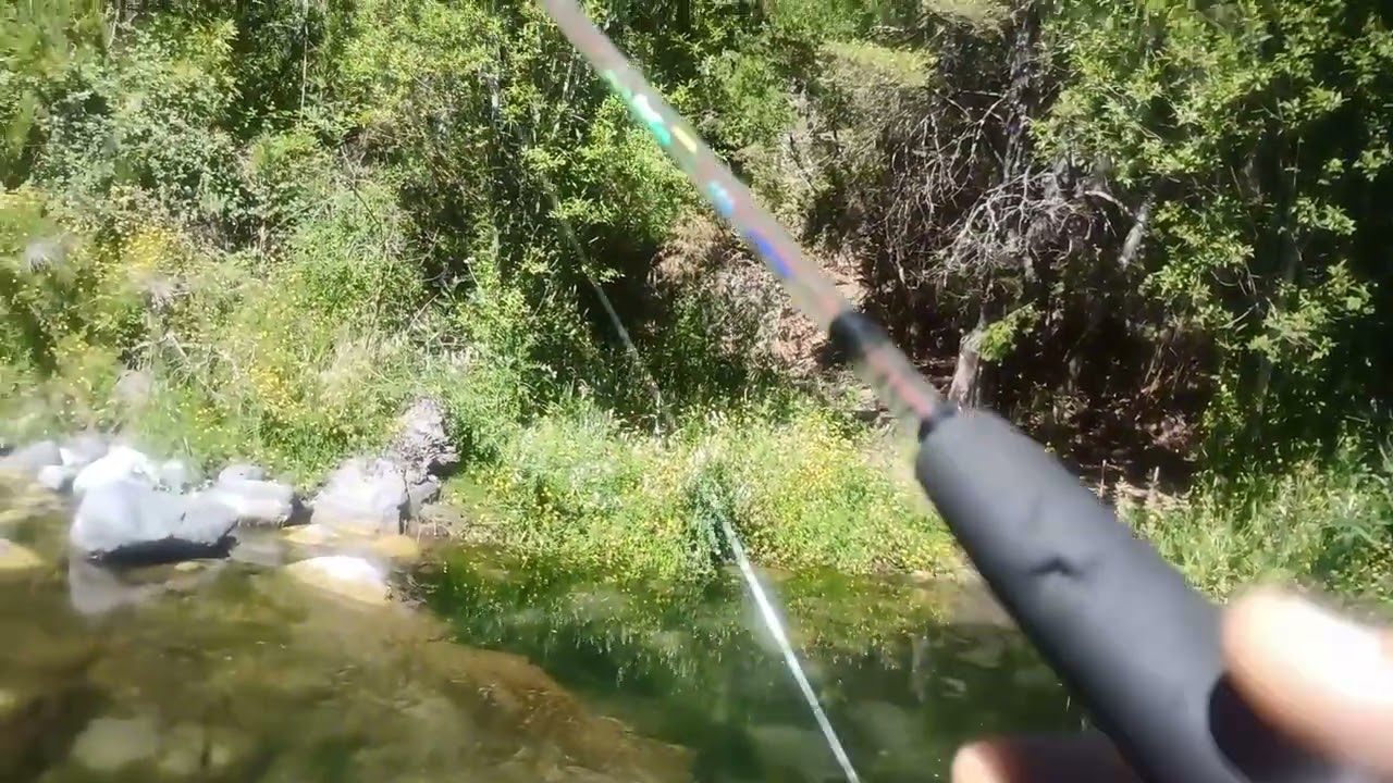 Chinook en Río Renegado