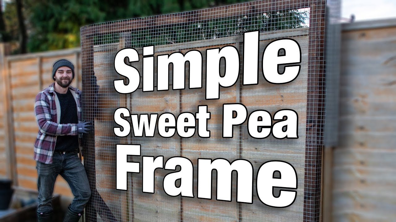 Easy DIY Sweet Pea Frame for the Garden or Allotment