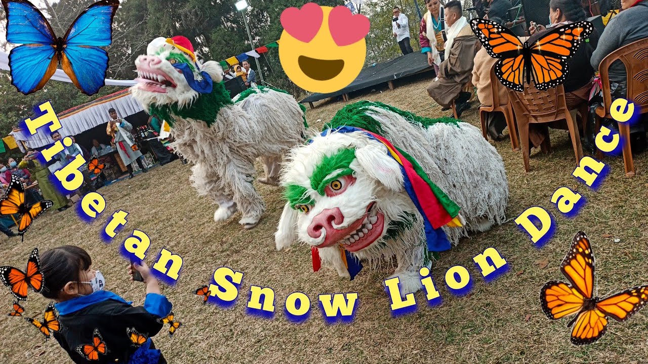 Tibetan Snow Lion Dance By Gangjong Doeghar//Kalimpong//Tashiding//Tibetan Vlogger
