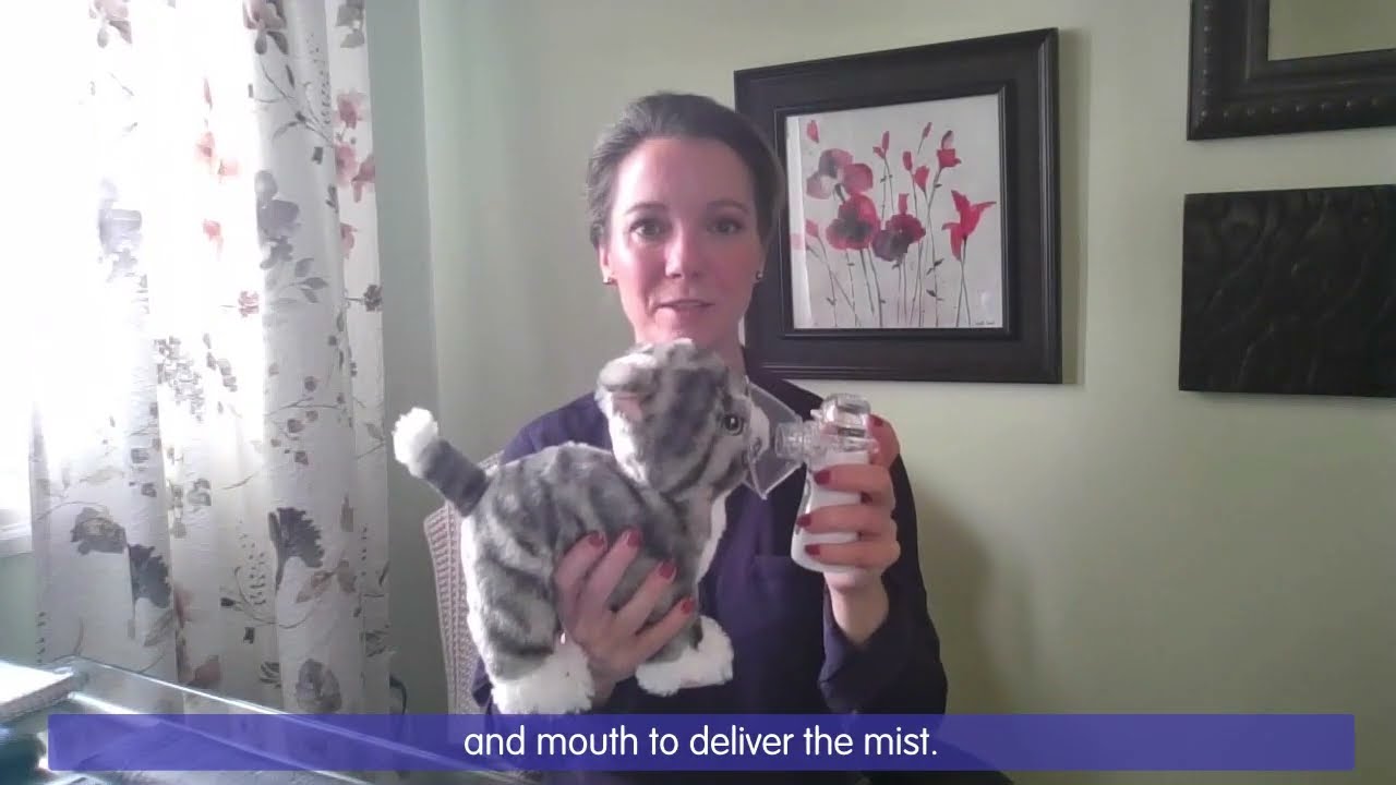 Nebulizer for Cats and Kittens | Pet Tips & Tricks with Dr. Sperry