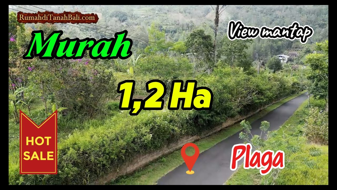 Utk Villa atau Agrobisnis 🎀 Tanah dijual Murah di Plaga dekat Kintamani Bali  Land for sale TJB2047