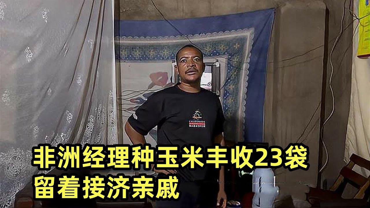 非洲经理种的玉米今年丰收23袋，夫妻俩不准备卖，留着接济亲戚
