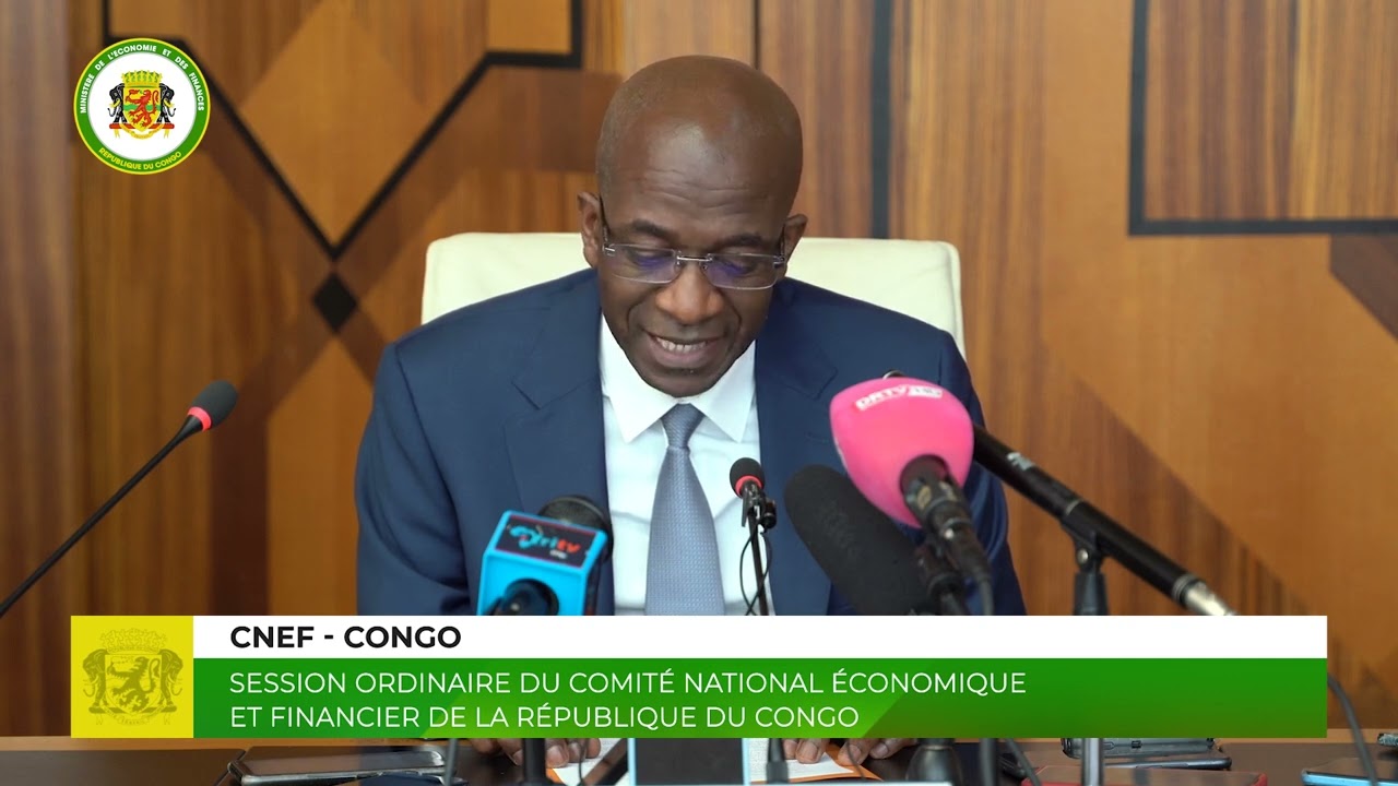 Comité national économique et financier (CNEF) Congo