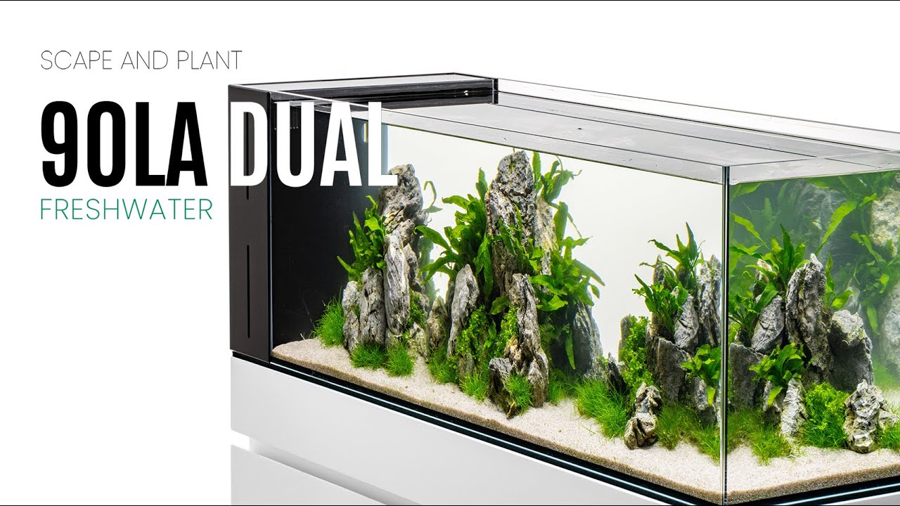 UNS 90LA Dual All-in-One Peninsula Planted Aquarium - Scape and Plant a UNS Dual