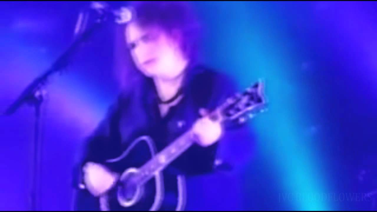 The Cure - A Boy I Never Knew (Live Video) Multicam