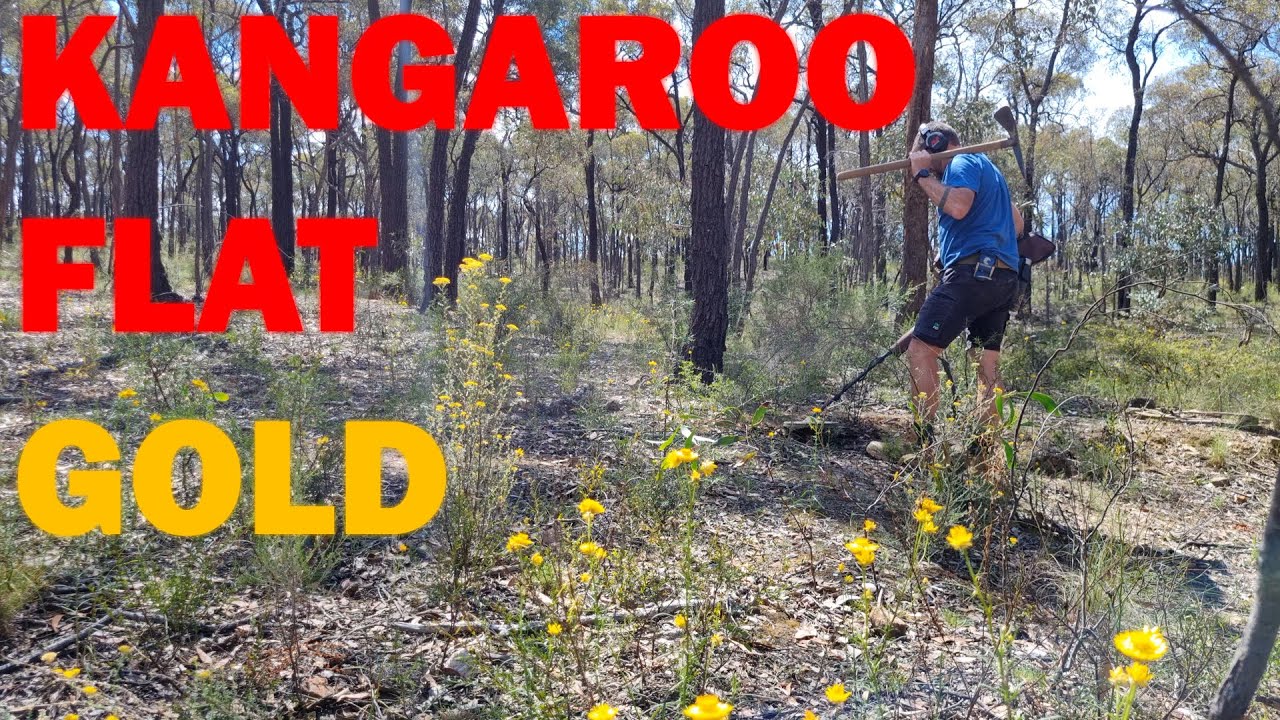OLD TIMERS GOLD on the KANGAROO FLAT GOLDFIELD