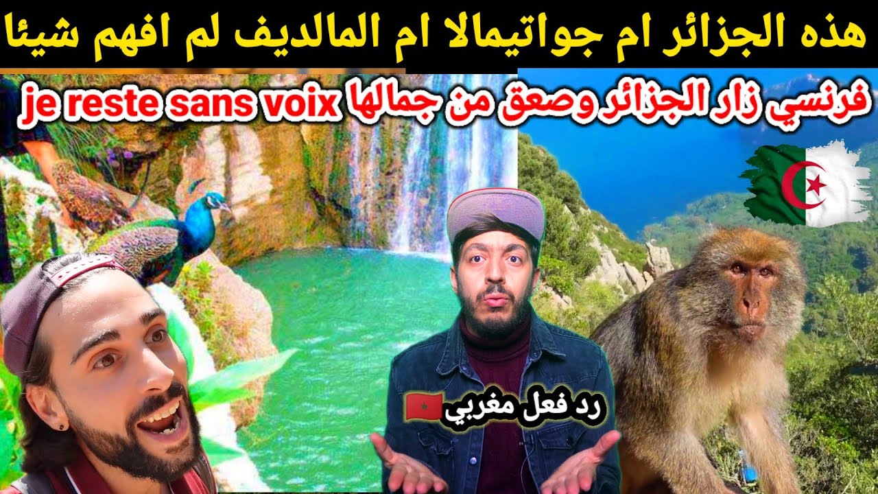 هل حقا هذه الجزائر اشعر كأني في جواتيمالا او تايلاند ، شاهد فرنسي يزور الجزائر وينصدم من جمالها عجيب