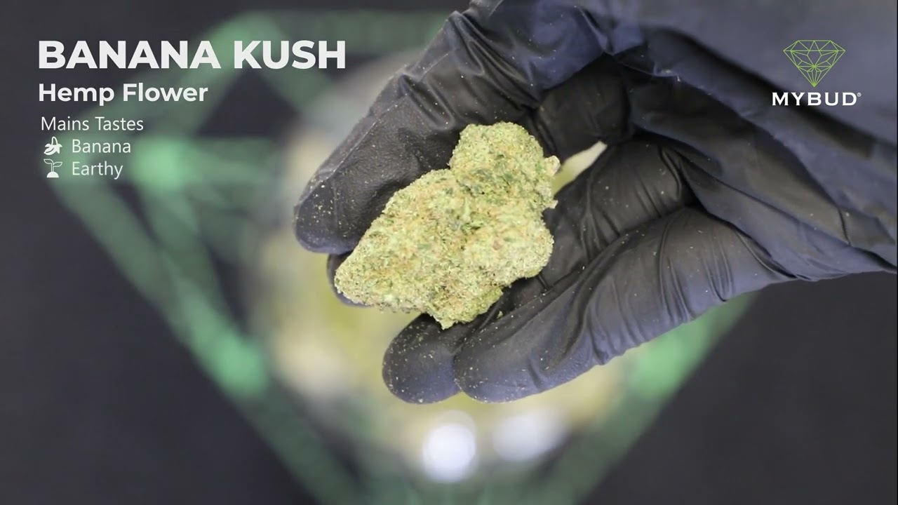 CBD Flower Banana Kush - Tropical and Fruity