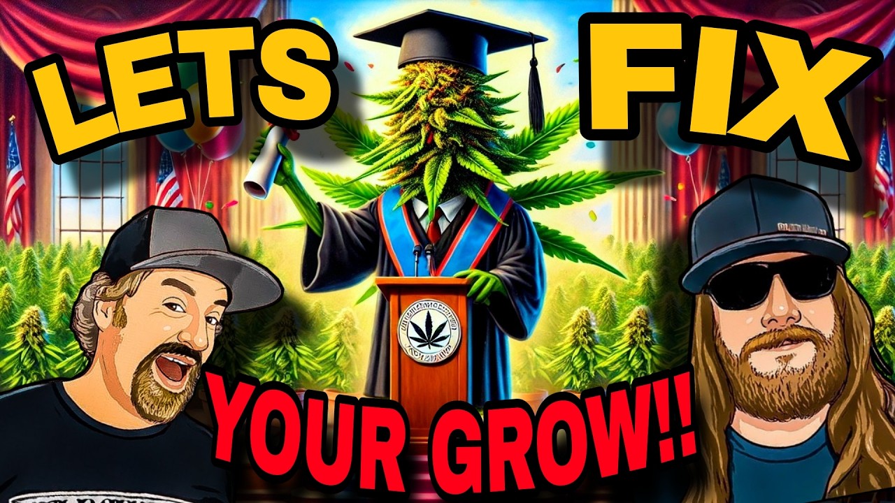 Your 9 Cannabis Growing Questions Answered (Expert Advice)