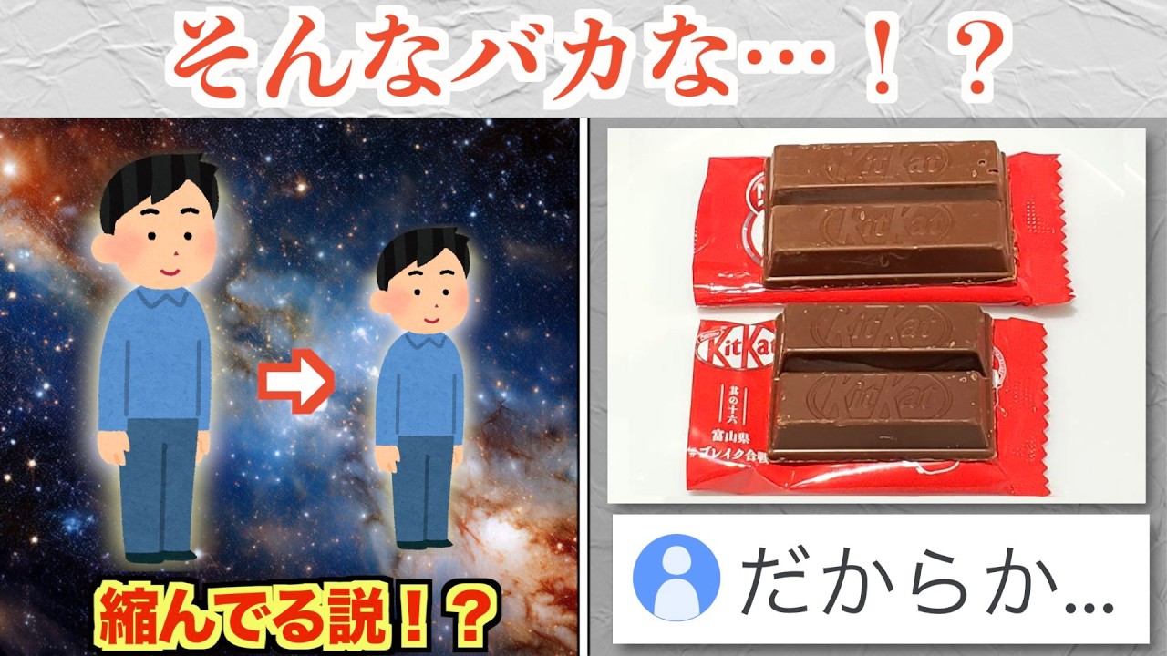 宇宙は膨張していない。自分達が縮んでいた！？これで全ての言い訳が成立してしまうww