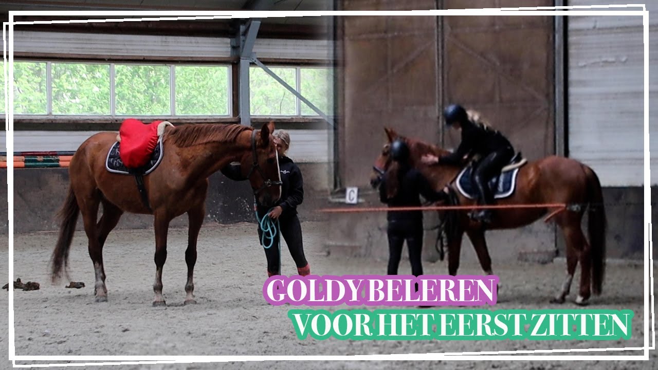 VOOR HET EERST OP GOLDY ZITTEN! || #3 Paardzoektbaas