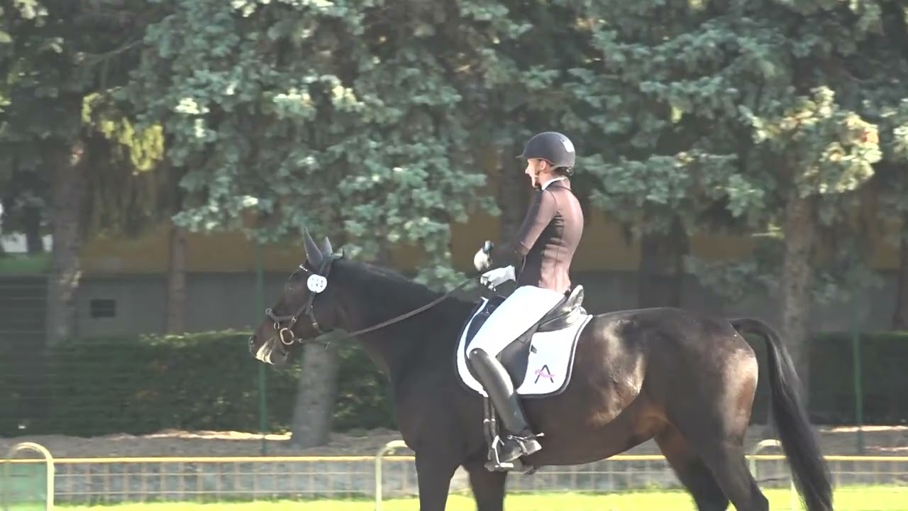Bábolna 2022 10 7 9   Kristina Waltenberger   Vianelly TS   CCI3