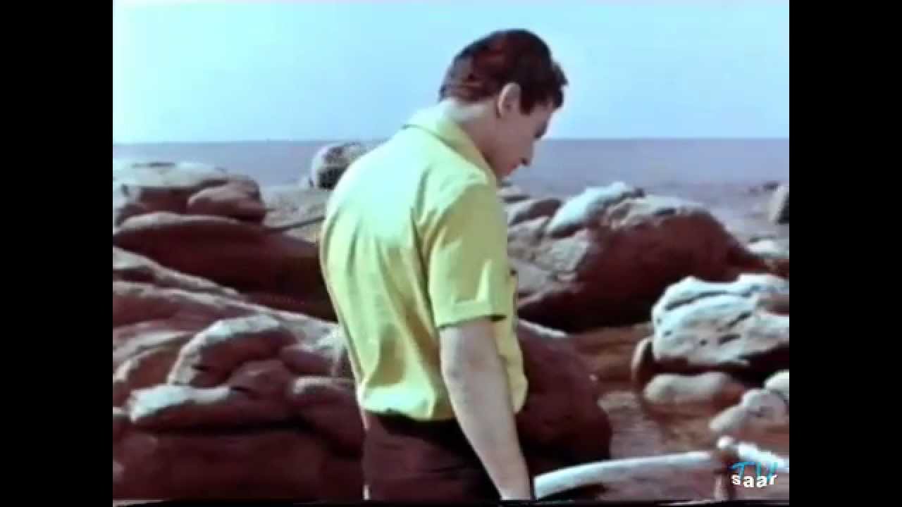 Luigi Tenco - Ho capito che ti amo - Capo Boi  Jolly Estate 1964