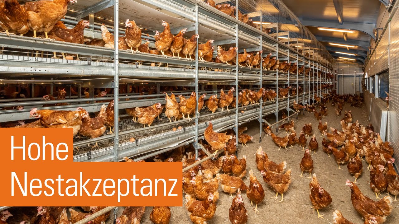 NATURA Nova Barn | Die Voliere für Legehennen mit besonders viel Nutzfläche