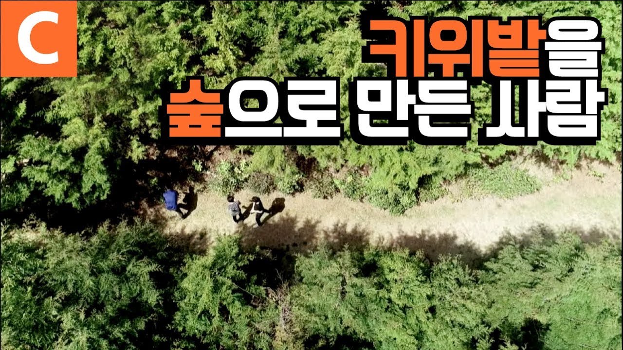 365일 디톡스, 편백나무 심고 편백 먹고 산다!