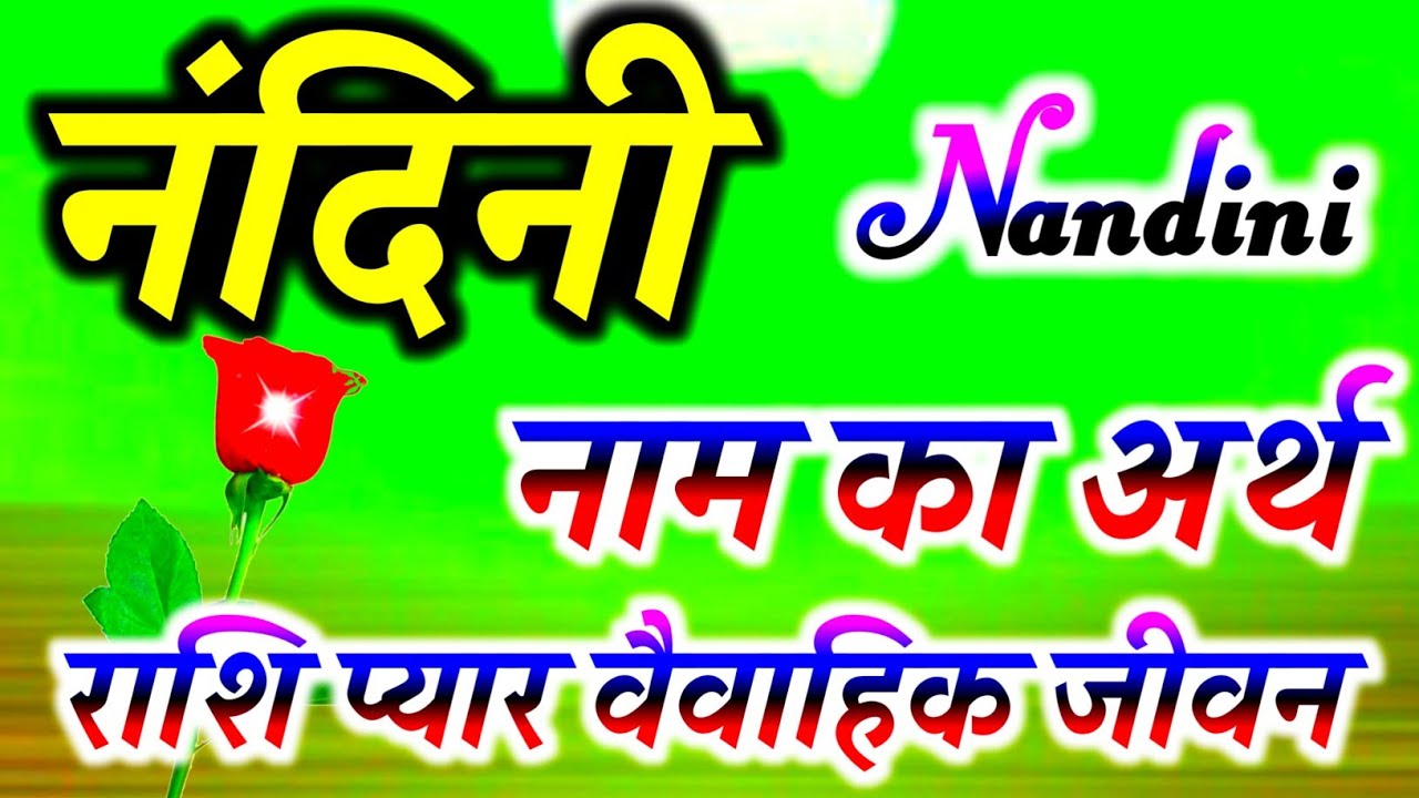 Nandini naam ka matlab kya hota hai 🌹नंदनी नाम की राशि क्या होती है 🌹 Nandini name status 🌹 N Status