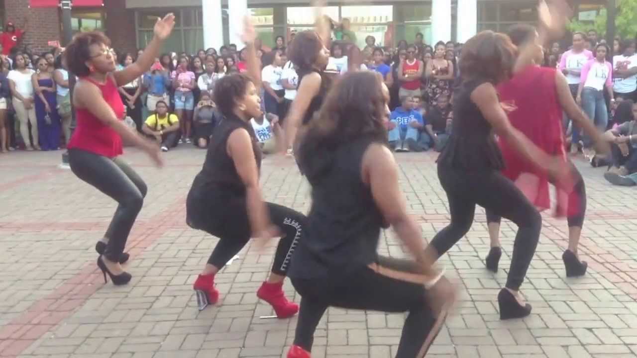 Gamma Tau Chapter of Delta Sigma Theta 2013