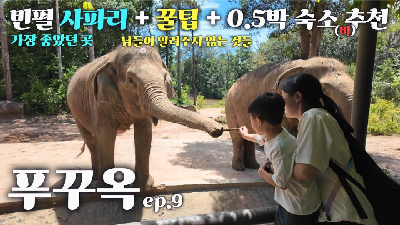 [🇻🇳 푸꾸옥] 빈펄사파리가 제일 좋았슨..🦒🐘🐾 | 7박9일 여행✈️