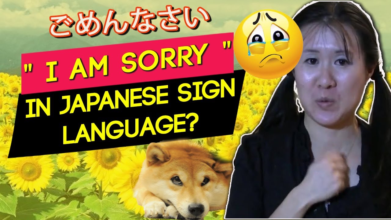 Lesson 9 I'm sorry / Japanese Sign Language tutorial 日本手話とアメリカ手話　ごめんなさい