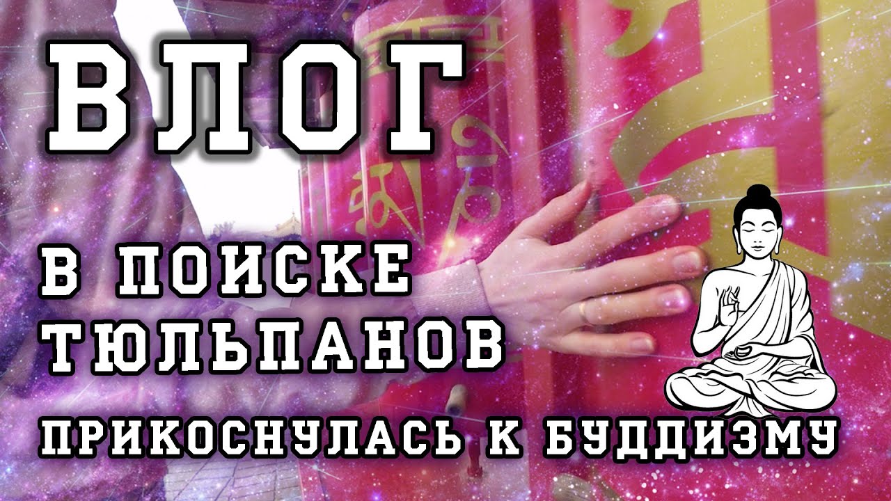 Где найти тюльпаны в Элисте? Прикоснулась к буддизму | Влог #KsutaLova