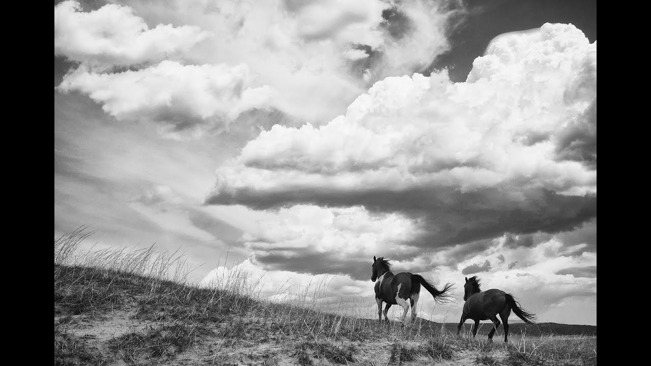 Meet Your Teacher - Dr.Brett L. Erickson #photographyworkshops