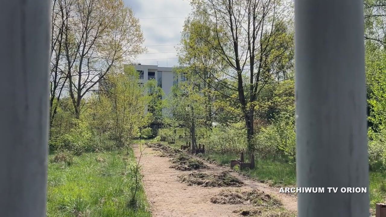 Parkitka chce ożywić park