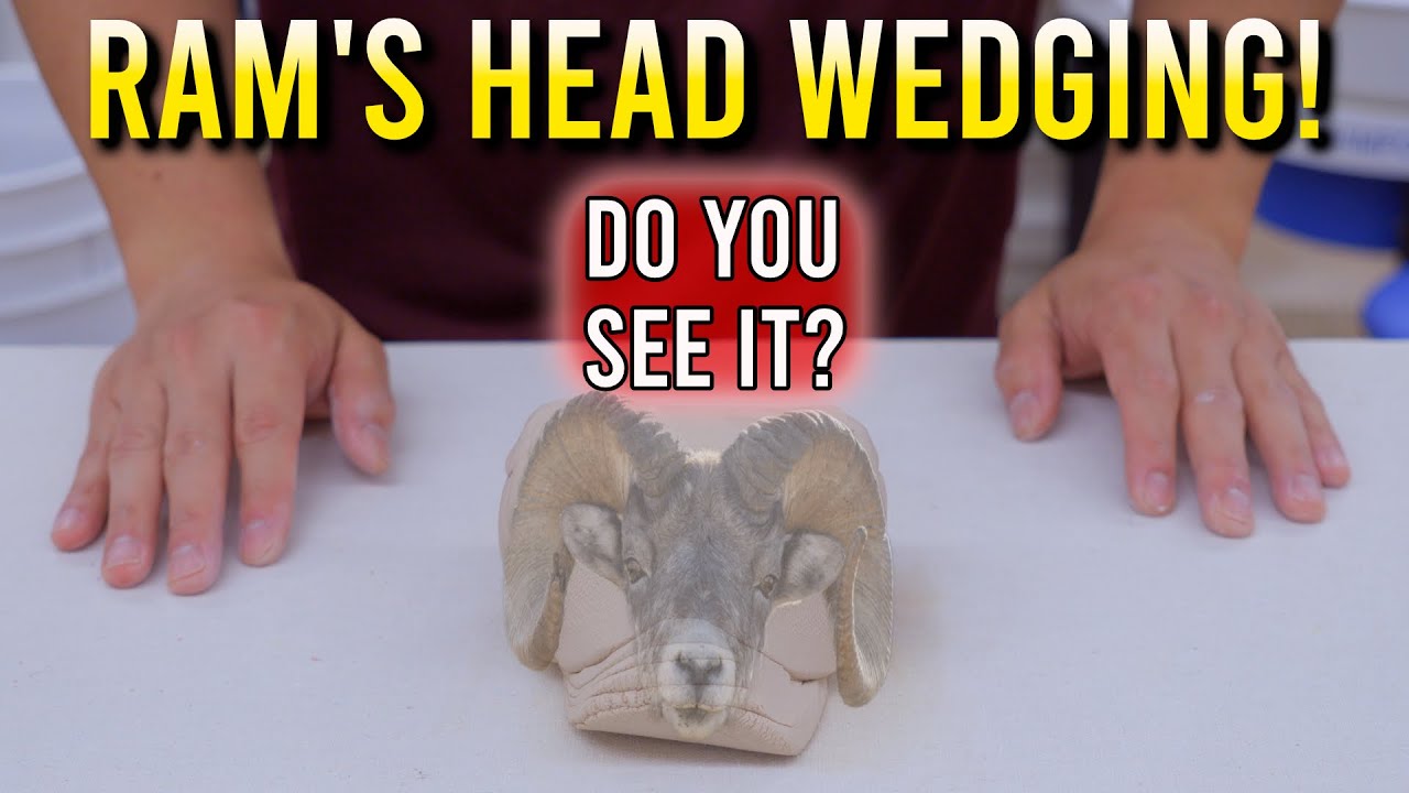 Ram's Head Wedging || A Beginner's Guide to Kneading Clay