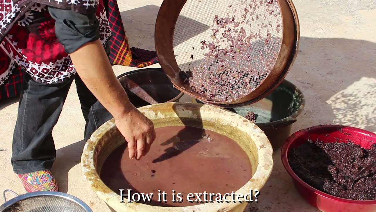Extraction oil procedure from Kerkennah Islands in Sfax (Tunisia)