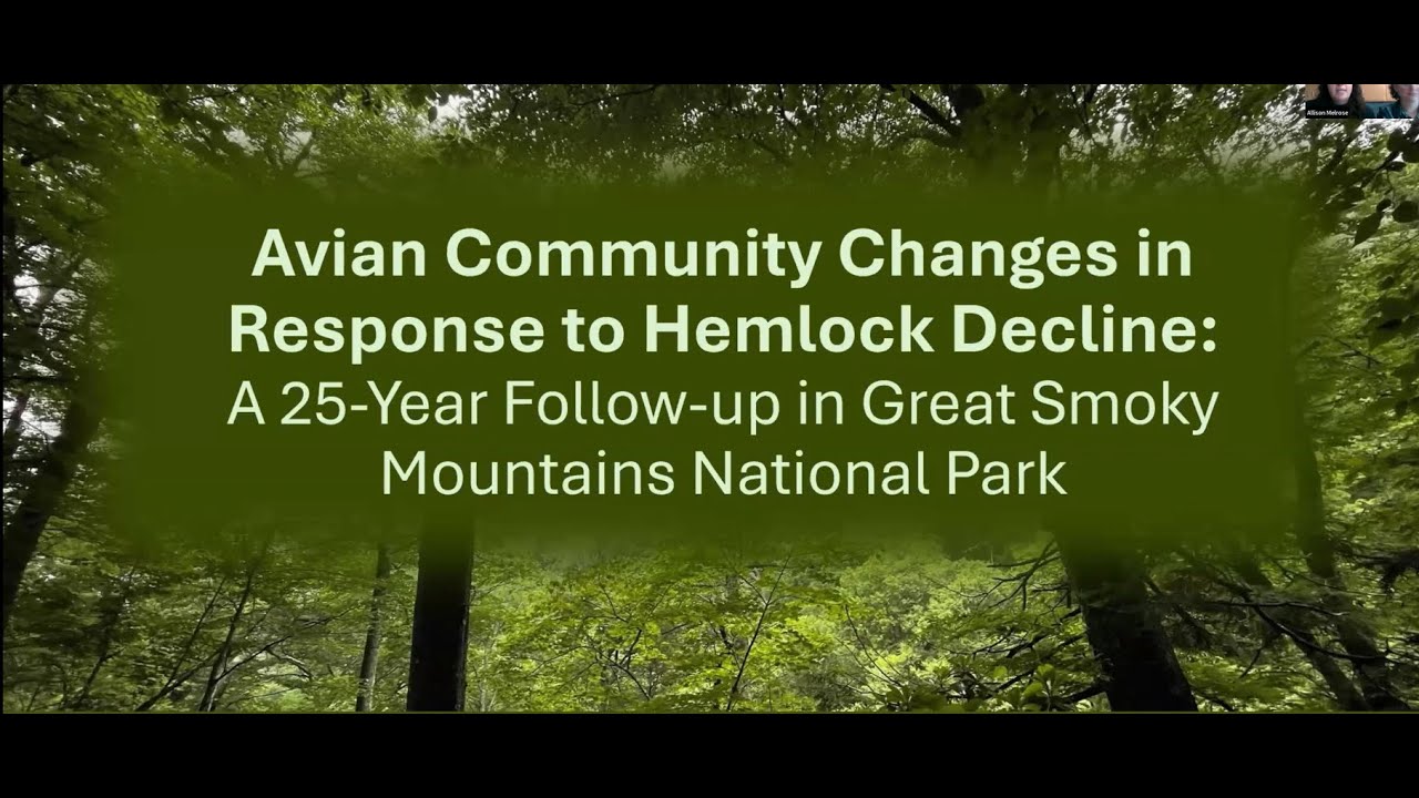 Assessing avian species change in response to hemlock decline in Great Smoky Mountains NP