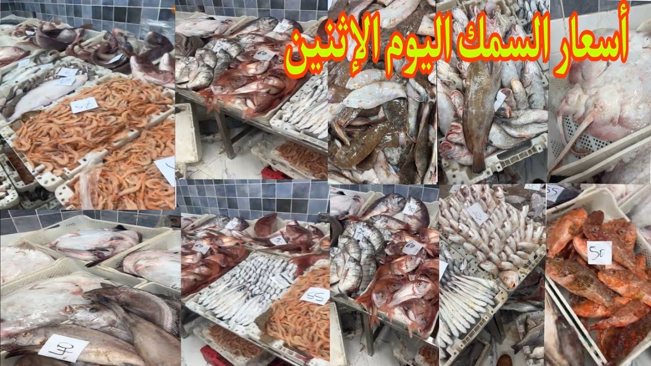 ثمن السمك بالمغرب🐠🦐اليوم الإثنين 26 يناير 2026#المغرب🇲🇦#سوق_المغربPoisson de qualité à prix abord