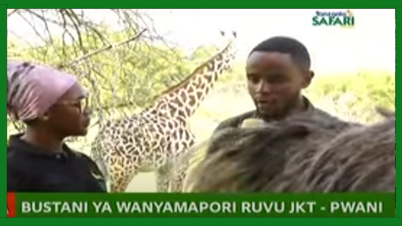 🔴#TSCLIVE: BUSTANI YA WANYAMAPORI RUVU JKT-PWANI