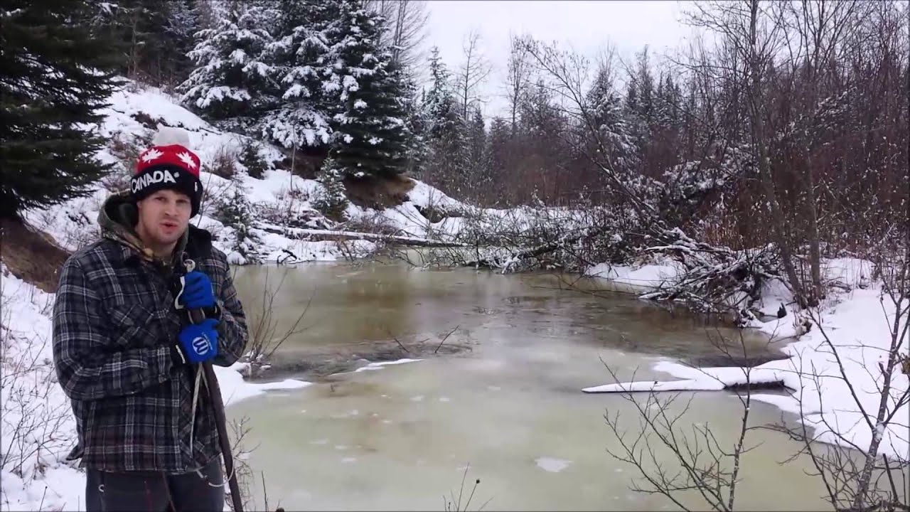 Beaver Trapping in Alberta - 