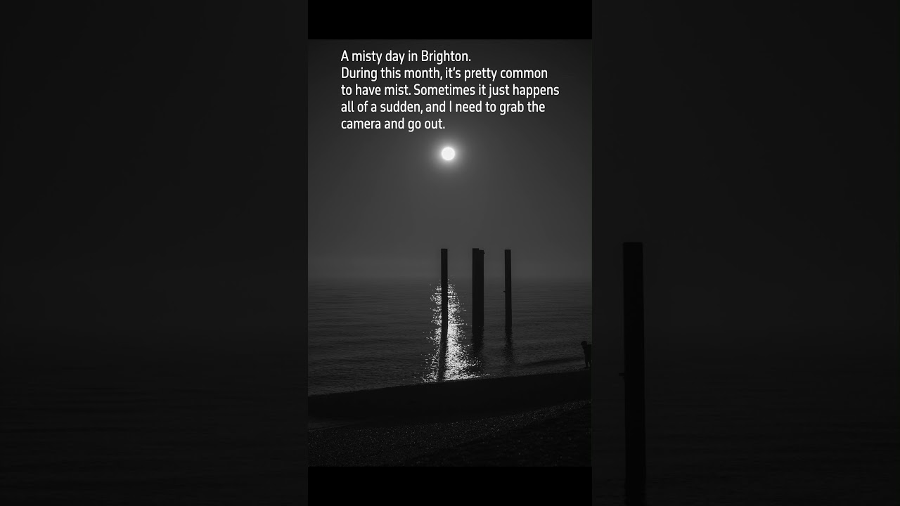 Photo diary March 2025 
