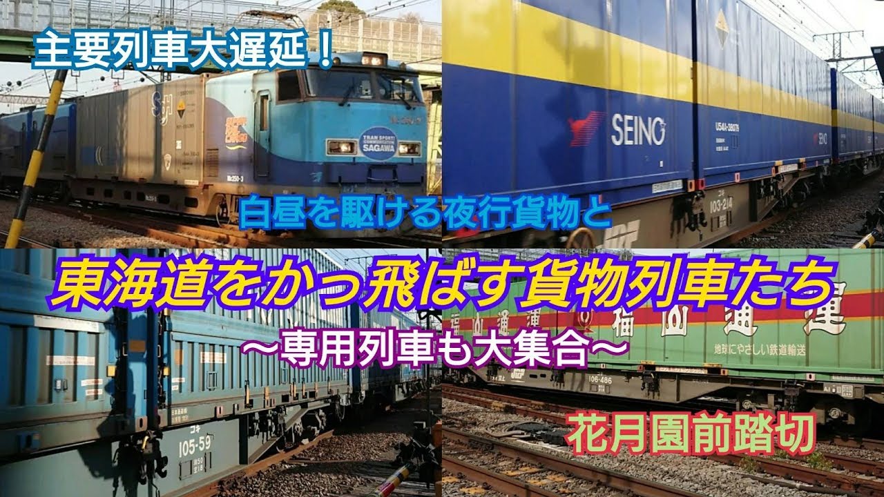 【貨物列車】【スーパーレールカーゴ】主要列車大遅延！ 白昼を駆ける夜行列車と東海道をかっ飛ばす貨物列車たち 2019年4月5日 花月園前踏切