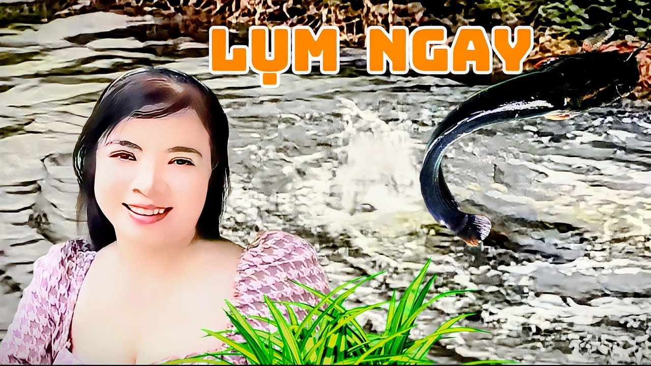 Đánh lưới bắt cá kênh ruộng  sau mùa lúa- 8/3  Phụ Nữ  Việt Nam là số 1.