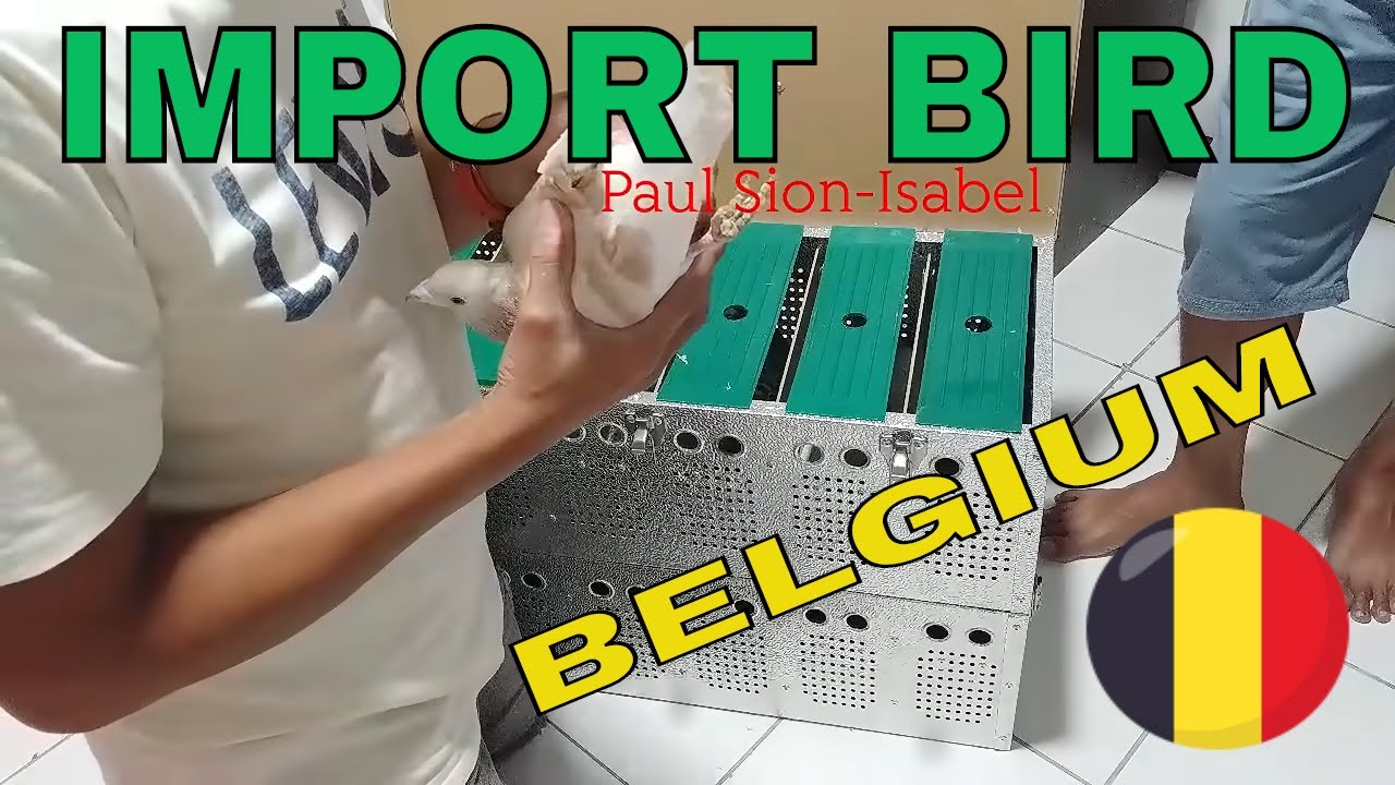 UNBOXING MY IMPORT BIRDS FROM BELGIUM
