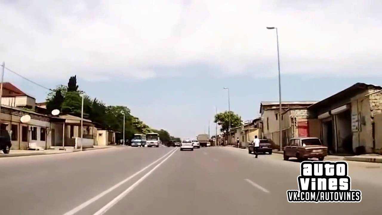 Auto Vines №4