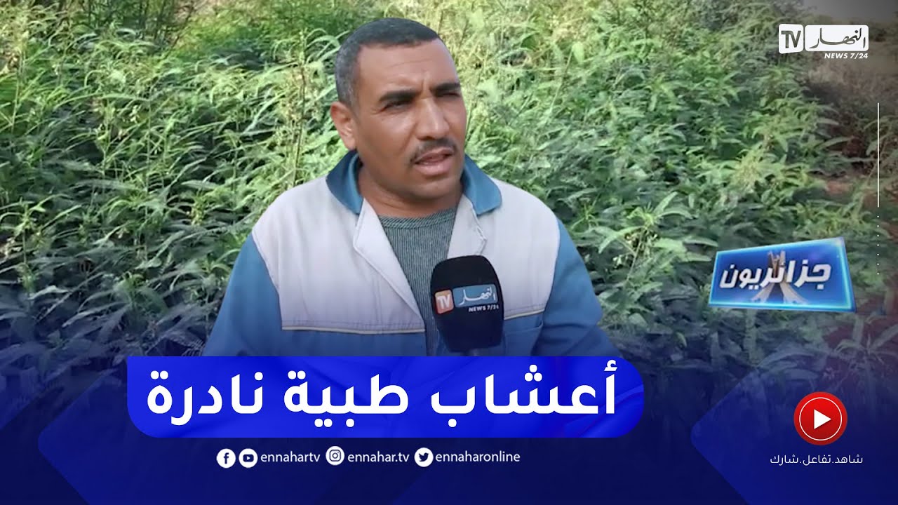 جزائريون: تجربة فريدة للإستثمار في الأشجار النادرة