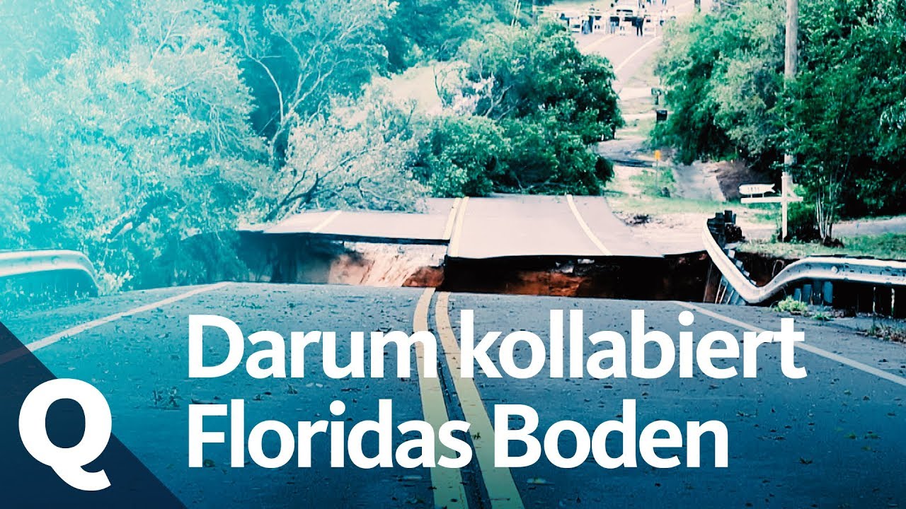 Dolinen in Florida: Wo Häuser in der Erde verschwinden | Quarks
