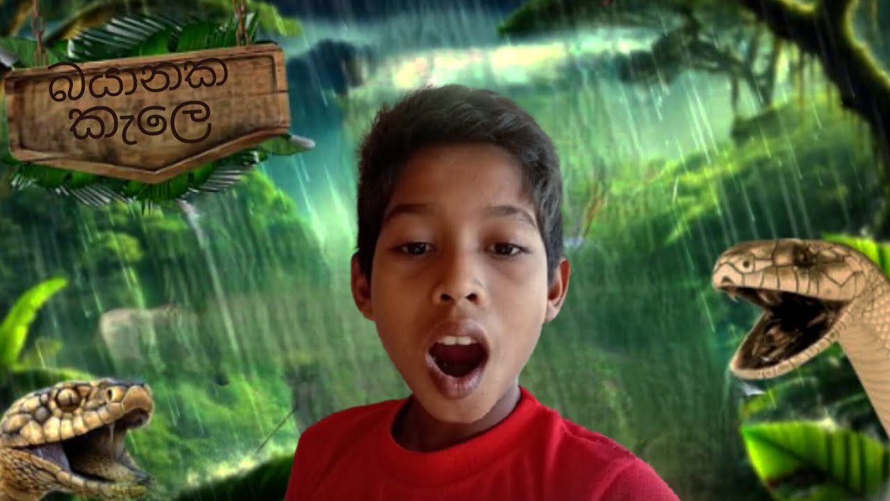 වනන්තරේ නුල්ඩස් කැවා.