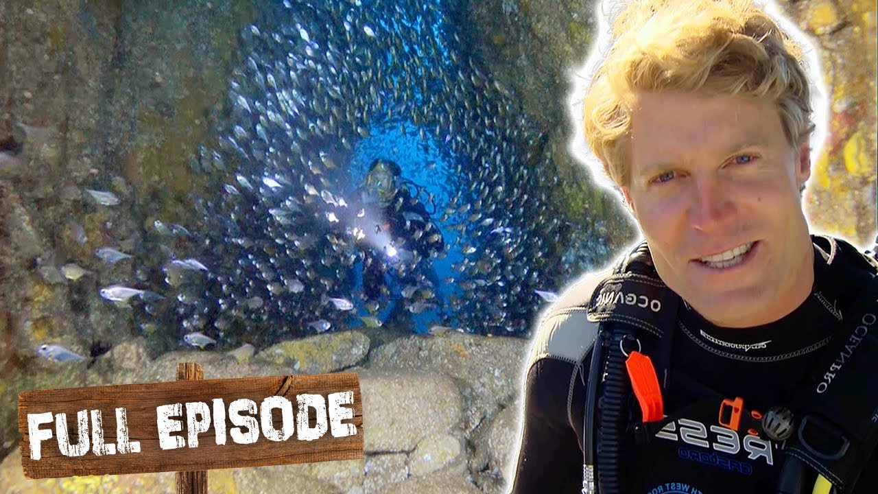 Deep sea diving through an underwater tunnel! 🤿 | Travels With The Bondi Vet S02 E08 | Untamed