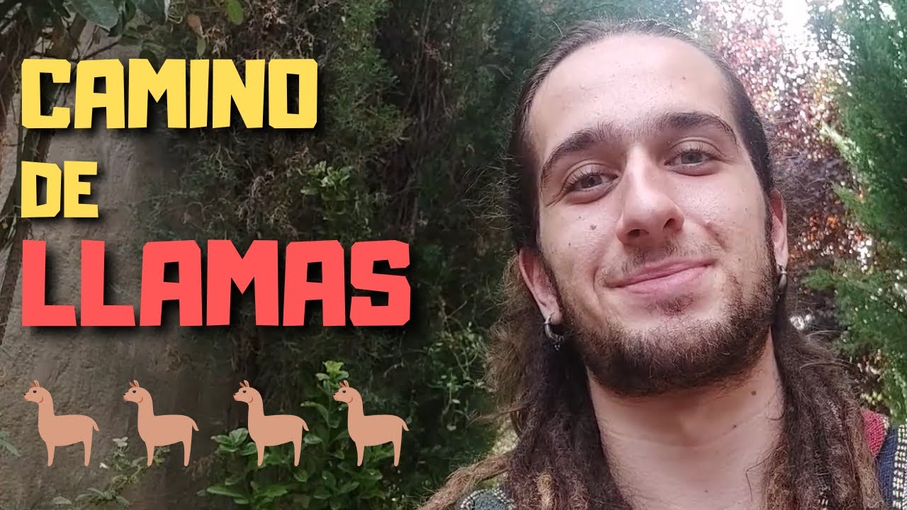 Tutorial CAMINO DE LLAMAS QUENA 🦙🦙🦙