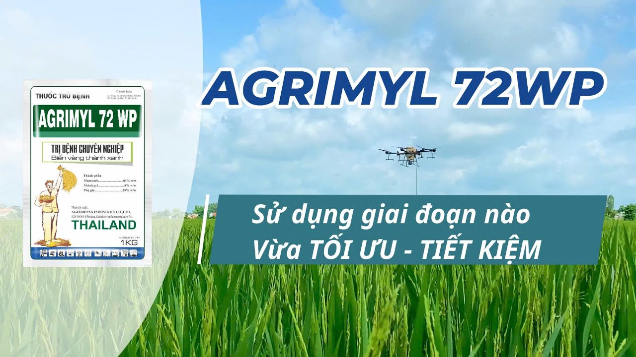 Sử dụng AGRIMYL 72WP tr&ecirc;n l&uacute;a l&uacute;c n&agrave;o để tiết kiệm v&agrave; hiệu quả? | Hai L&uacute;a V&agrave;ng