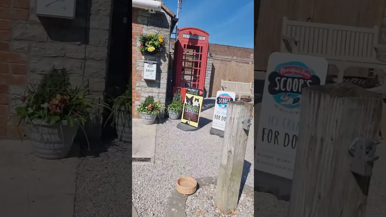 Old Oak Caravan Park, Glastonbury. from a wheelchair