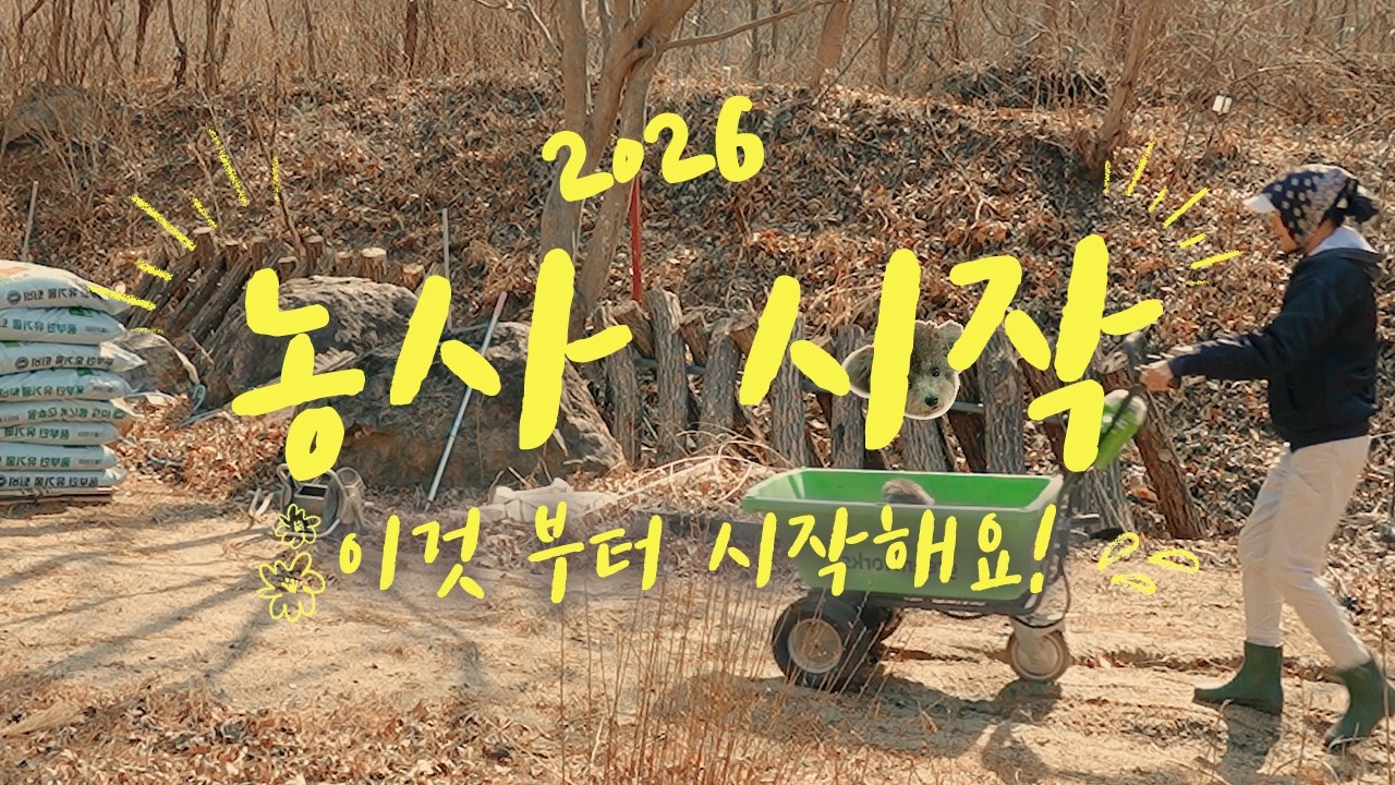 힐링 시골 브이로그 | 텃밭 가꾸고 밥 해먹는 하루