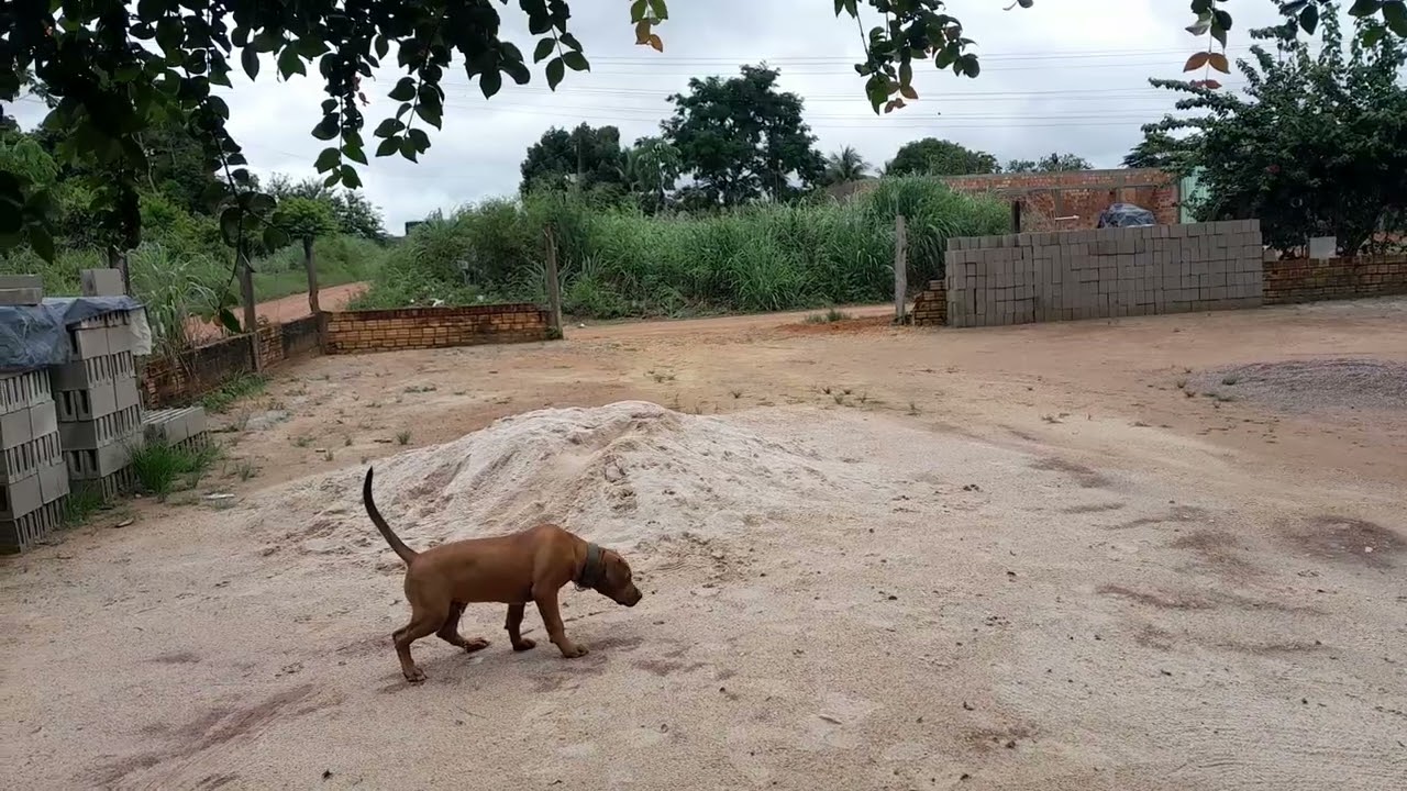 Nossos  trasso para fabricar blocos 