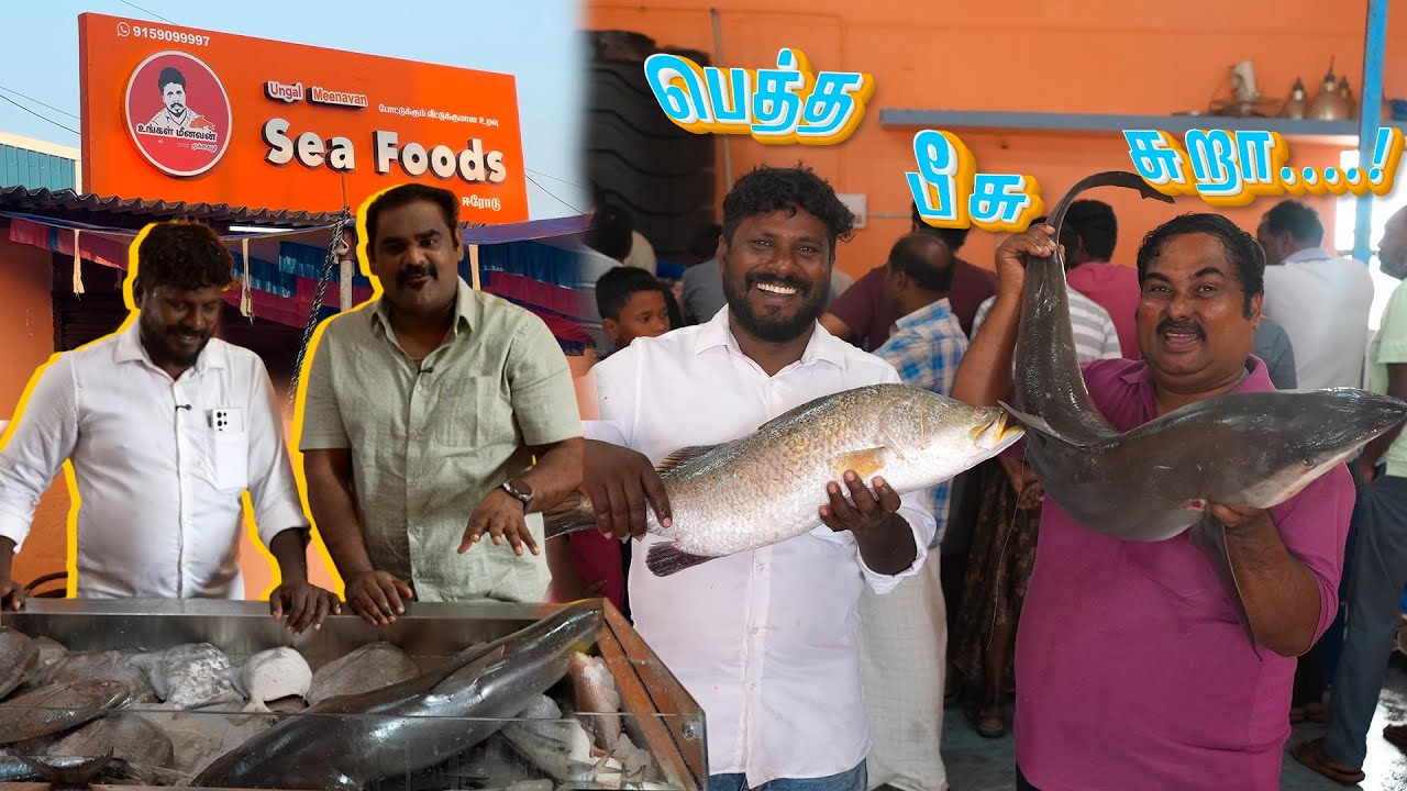 மீண்டும் OG உங்கள் மீனவன் கடை.....!😎| WFT Vlog